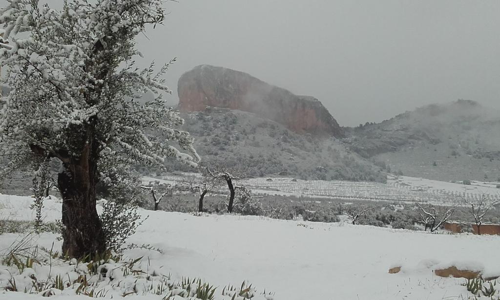 דירות El Palomar De Peñarrubia מראה חיצוני תמונה